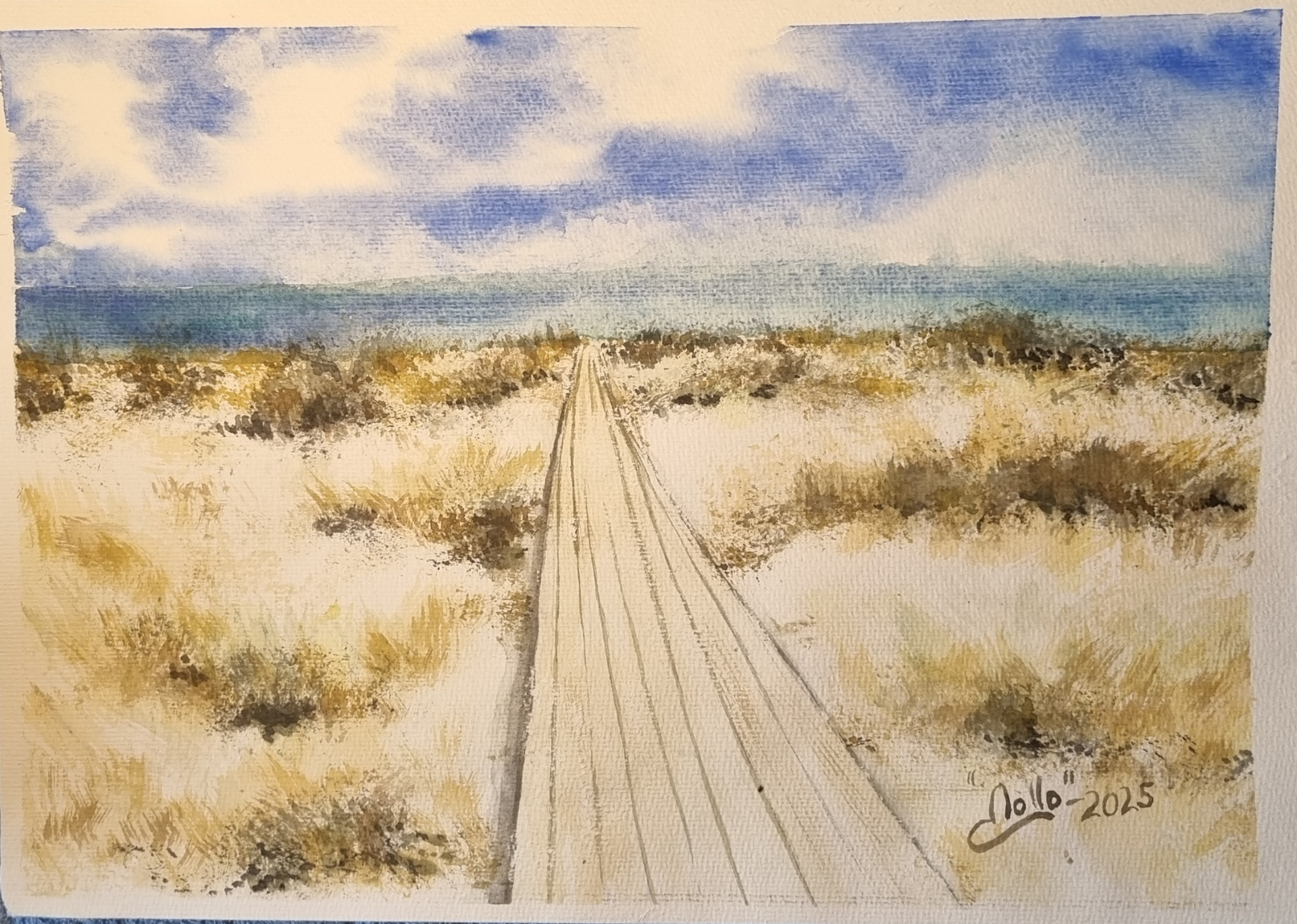 R66.Falsterbo