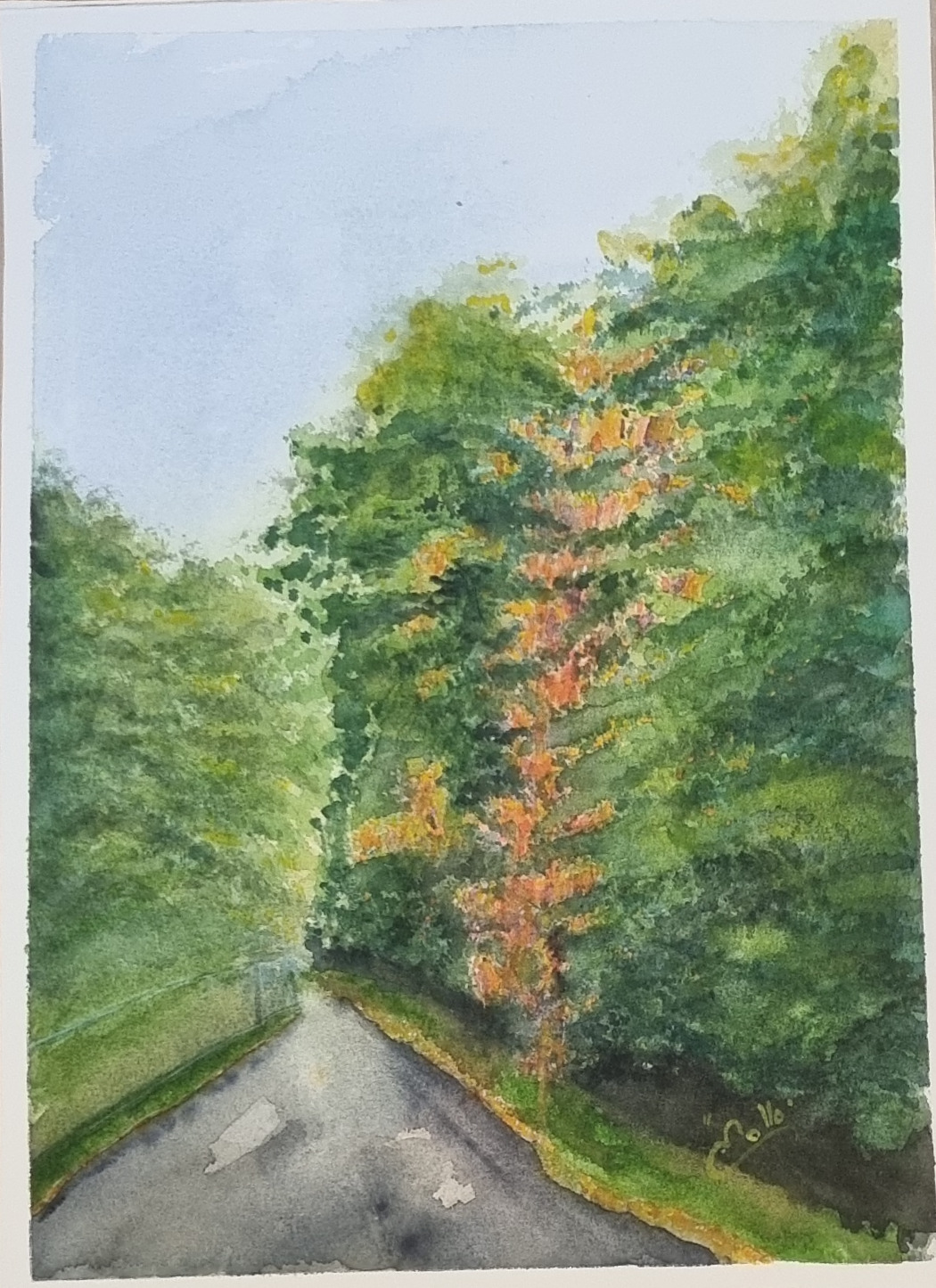 R71. Häftigaste trädet vid Lussebäcken